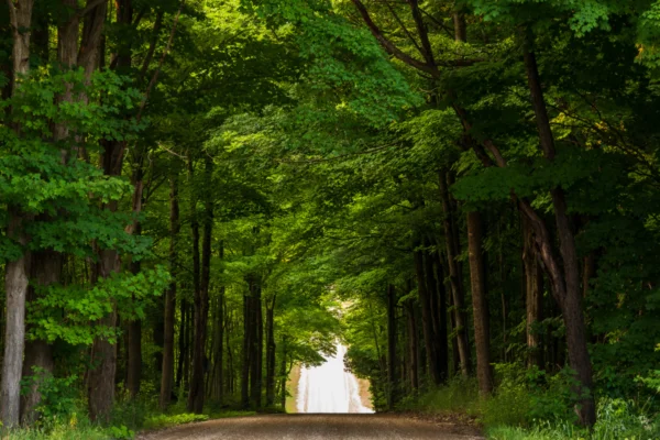 Aberfoyle Ontario