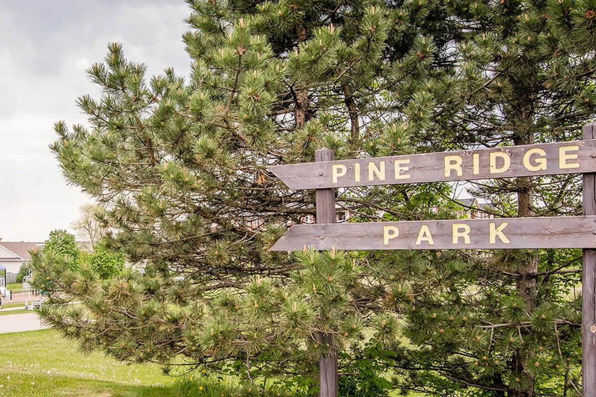 Pine Ridge - Guelph